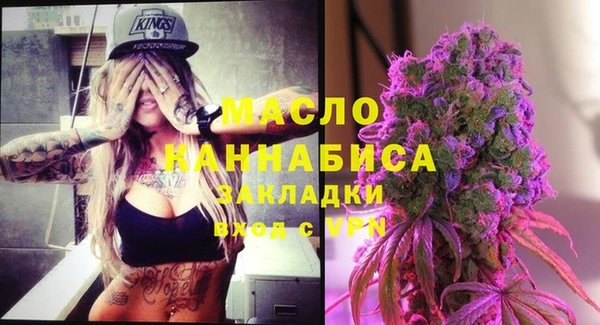 сатива Новодвинск