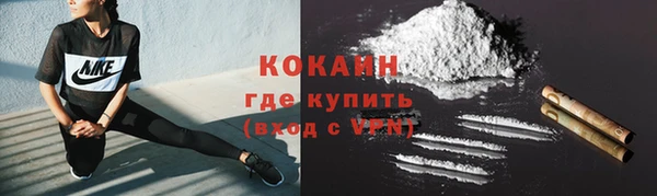 сатива Новодвинск