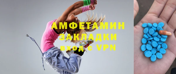 сатива Новодвинск