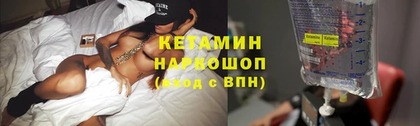 сатива Новодвинск