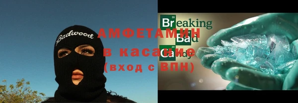 сатива Новодвинск