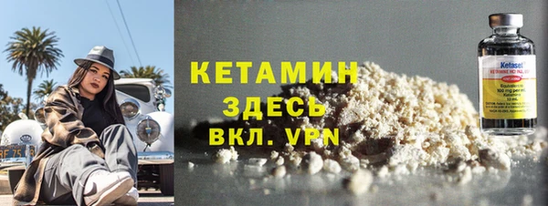 сатива Новодвинск