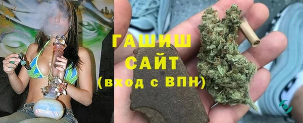 сатива Новодвинск