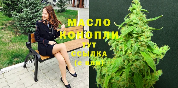 сатива Новодвинск