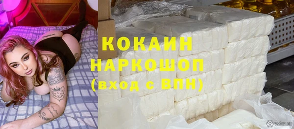 сатива Новодвинск