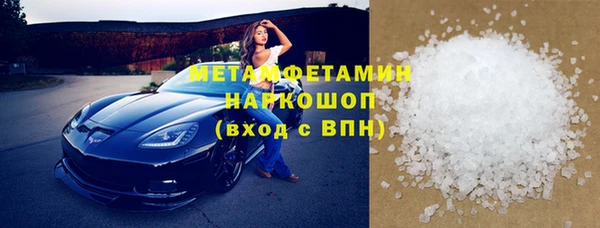 сатива Новодвинск