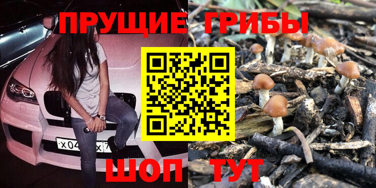 Псилоцибиновые грибы Magic Shrooms  где найти наркотики  Костомукша 