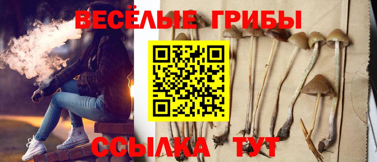 Костомукша  Псилоцибиновые грибы прущие грибы  Вход с VPN 
