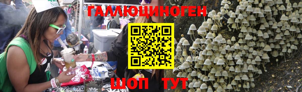 Галлюциногенные грибы мухоморы Костомукша