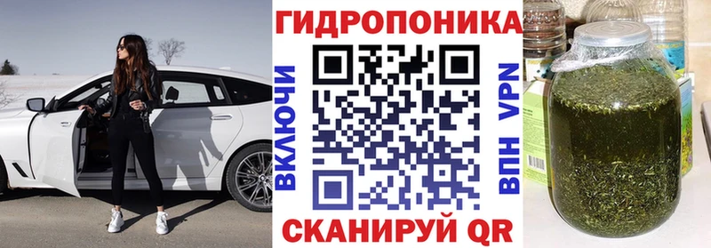 Конопля Ganja  Костомукша 